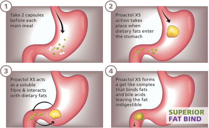 how proactol xs works