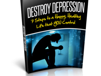 destroy depression system book