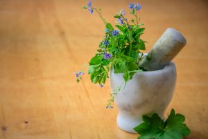 Breast Enlargement Herbs